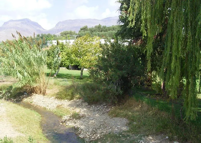 Damnoni Paradise