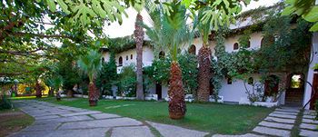 Paradise Damnoni