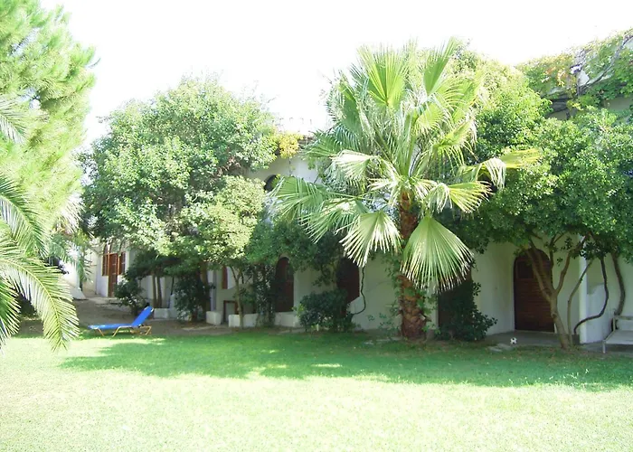 Damnoni Paradise